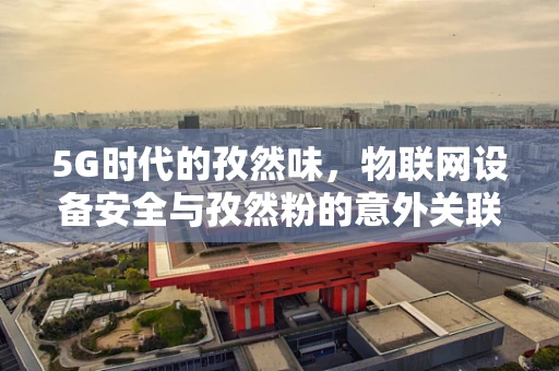 5G时代的孜然味，物联网设备安全与孜然粉的意外关联