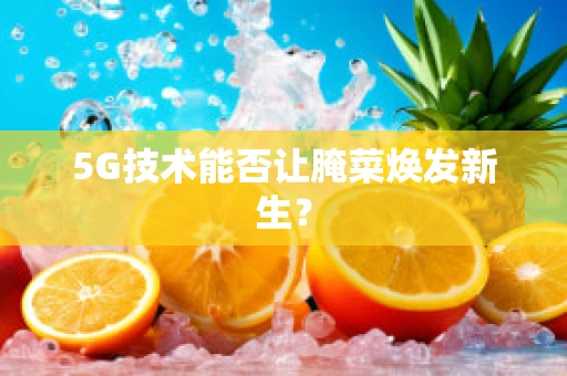 5G技术能否让腌菜焕发新生？
