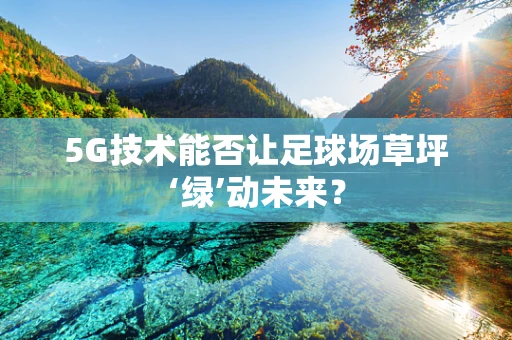 5G技术能否让足球场草坪‘绿’动未来？