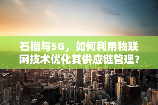 石榴与5G，如何利用物联网技术优化其供应链管理？