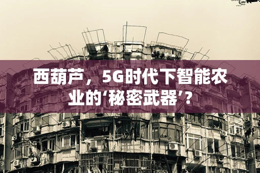 西葫芦，5G时代下智能农业的‘秘密武器’？
