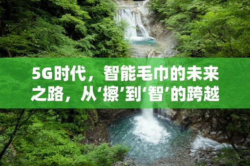 5G时代，智能毛巾的未来之路，从‘擦’到‘智’的跨越