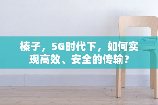 榛子，5G时代下，如何实现高效、安全的传输？