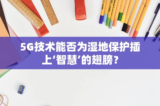 5G技术能否为湿地保护插上‘智慧’的翅膀？