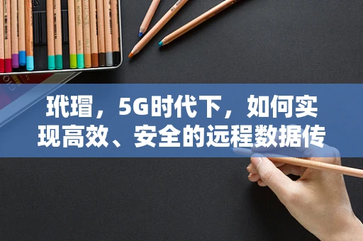 玳瑁，5G时代下，如何实现高效、安全的远程数据传输？