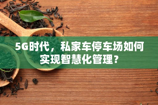 5G时代，私家车停车场如何实现智慧化管理？
