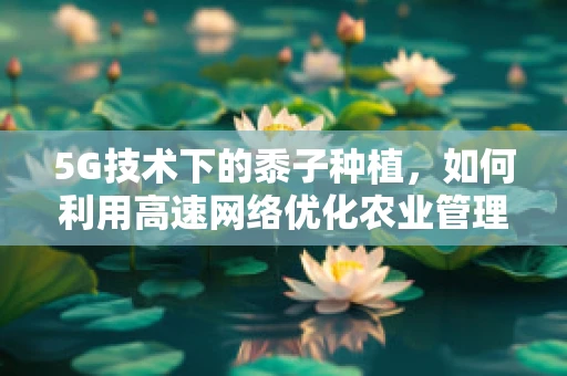 5G技术下的黍子种植，如何利用高速网络优化农业管理？