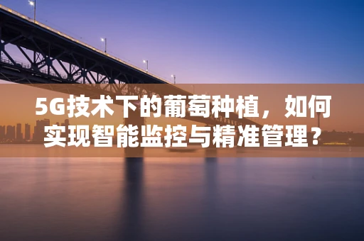 5G技术下的葡萄种植，如何实现智能监控与精准管理？