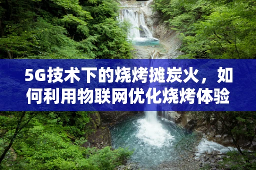 5G技术下的烧烤摊炭火，如何利用物联网优化烧烤体验？