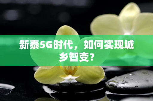 新泰5G时代，如何实现城乡智变？