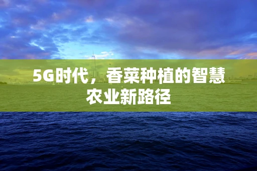 5G时代，香菜种植的智慧农业新路径