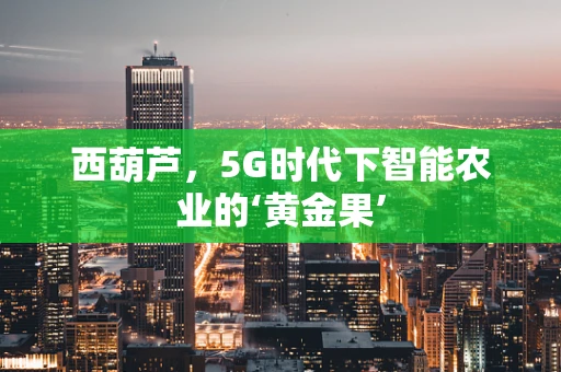 西葫芦，5G时代下智能农业的‘黄金果’