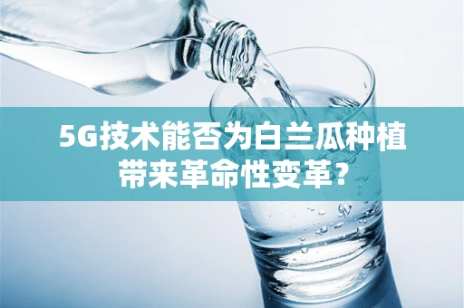5G技术能否为白兰瓜种植带来革命性变革？