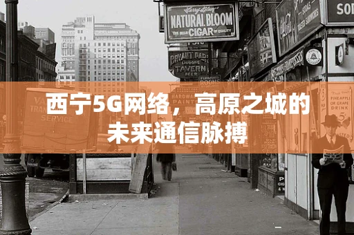 西宁5G网络，高原之城的未来通信脉搏