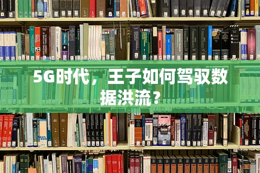 5G时代，王子如何驾驭数据洪流？
