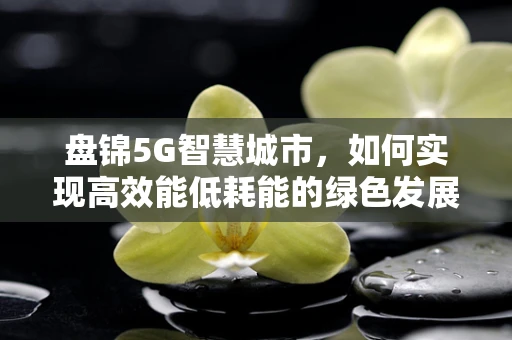 盘锦5G智慧城市，如何实现高效能低耗能的绿色发展？