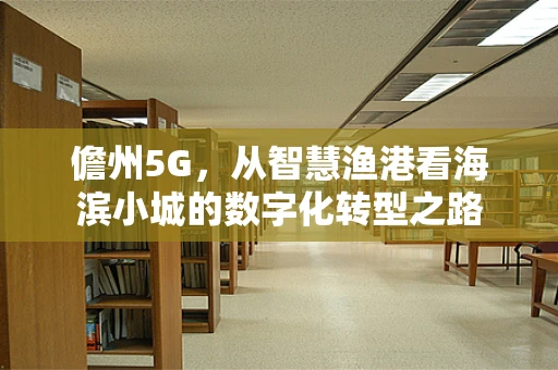 儋州5G，从智慧渔港看海滨小城的数字化转型之路